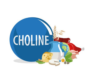 choline vitamin b4 health benefits