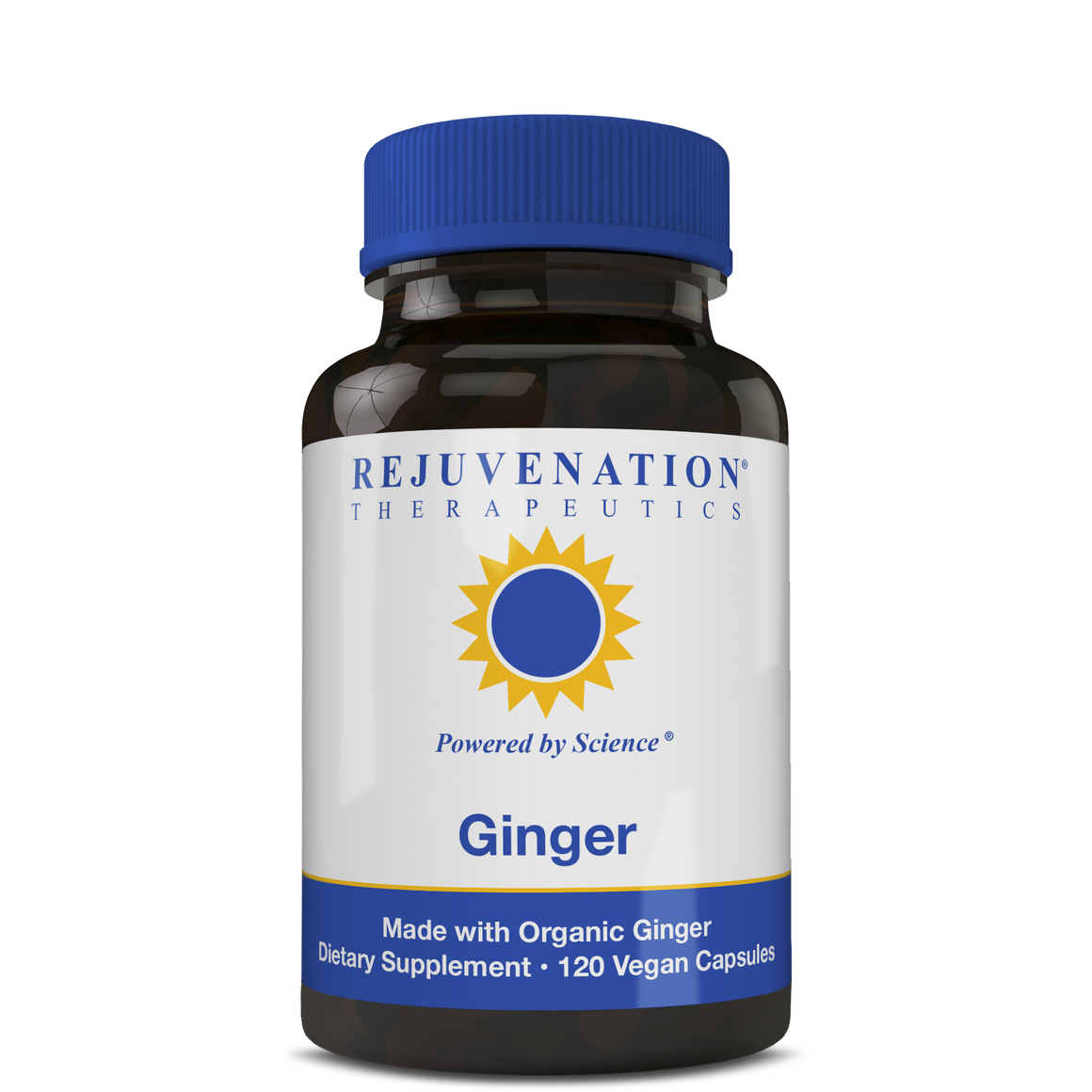 Organic Ginger (500 mg, 120 Vegan Capsules) - Digestion & Intestinal Health, Non-GMO, Gluten-Free
